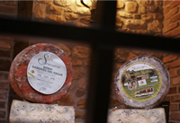 Queso gamoneu Sobrecueva